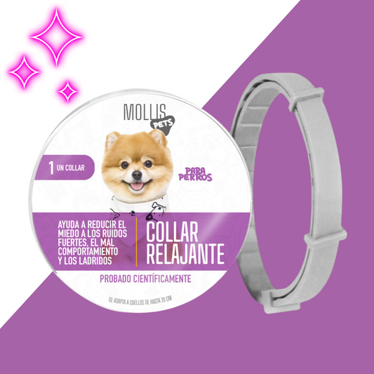 🌿 CalmaPet 🐾 – Relajación instantánea para tu mascota
